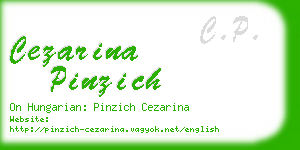 cezarina pinzich business card